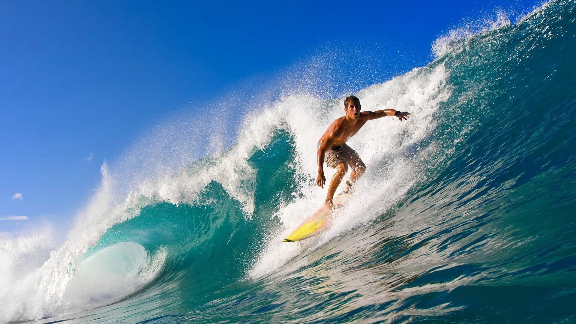 凯瑟琳·伯科夫技术动作细腻获好评，凯瑟琳韦伯