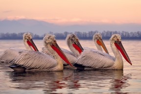 开云全站-“科目三”广场舞在广西大化县火爆出圈，广西科目三考试最新视频