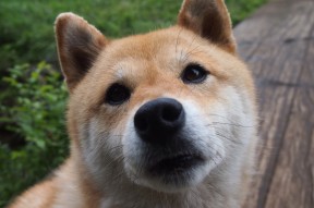 开云体育下载官网-体育精神：篮球场上感人瞬间集锦，篮球场上经典语录