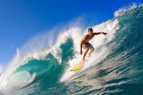 开云网页版登录入口-凯瑟琳·伯科夫技术动作细腻获好评，凯瑟琳韦伯