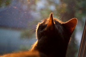 开云体育官方入口-意甲平局，专家解读关键数据，意甲专家分析